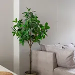 Apartament Spacious Blijdorp With3 Double Beds Rotterdam